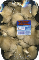Setas de ostra "Hongos de la Jara" (400 g)