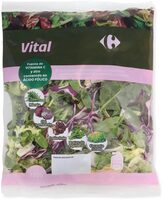 Ensalada vital