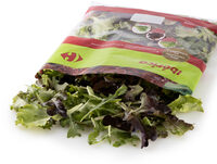 Ensalada Ibérica