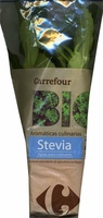 Maceta de stevia