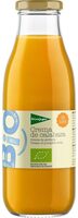 Bio crema de calabaza