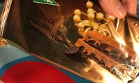 Turrón de chocolate con galleta con cacao