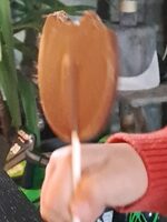 Sucette en chocolat