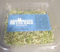 Germinados de col kale