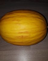 Melon jaune