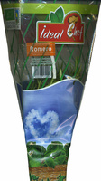 Maceta de romero