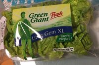 Lechuga