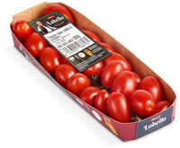 Tomate rama Lobello