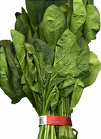 Espinacas