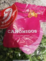Canónigos