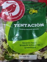 Ensalada tentación