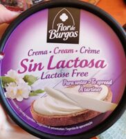 Crema de queso para untar sin lactosa tarrina