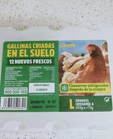 Huevos gallinas sueltas en gallinero