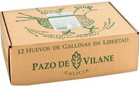 Huevos de gallinas en libertad