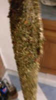 Espetec extra Herbes