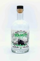 Gin ecológico