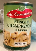 Funghi champignons
