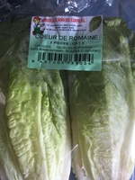 Coeur de romaine