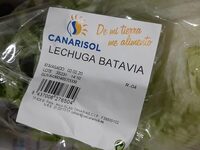 Lechuga Batavia