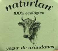 Yogur de arándanos