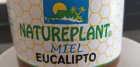 Miel eucalipto