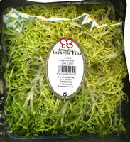 Escarola fina