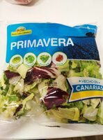 Lechuga primavera