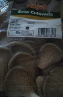 Setas cultivadas. pleurotus ostreatus