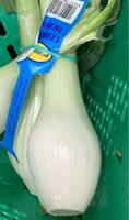 Cebolla tierna