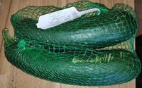 Zucchini