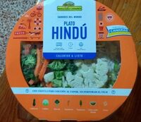 Plato hindu