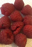 Framboise