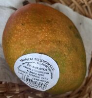 MANGO kent