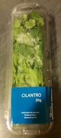 Cilantro