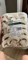 Champiñon laminado