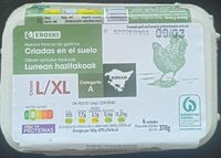 Huevos frescos de gallinas L/XL