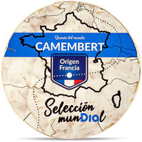 Queso camembert