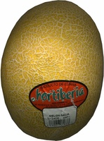 Melón Variedad Galia