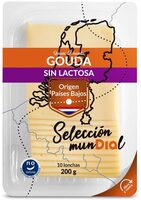 Queso gouda sin lactosa