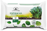 Espinacas cortadas