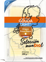 Gouda light