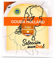 Gouda Holland