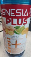 Magnesia plus