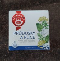Priedušky a pľúca