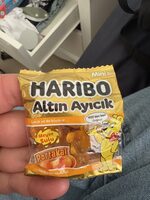 Altin Ayicik