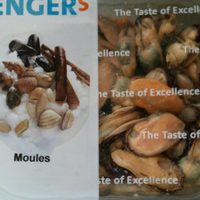 Moules Cuites Décoquillées