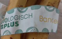 Biologisch Plus Bananen