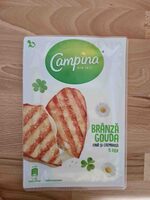 Branza gouda