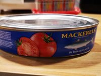 Mackerels
