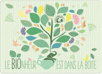 Elephant Tisanes Bio Coffret Découverte Edition Limitée Boîte Métale 52 Sachets 78g